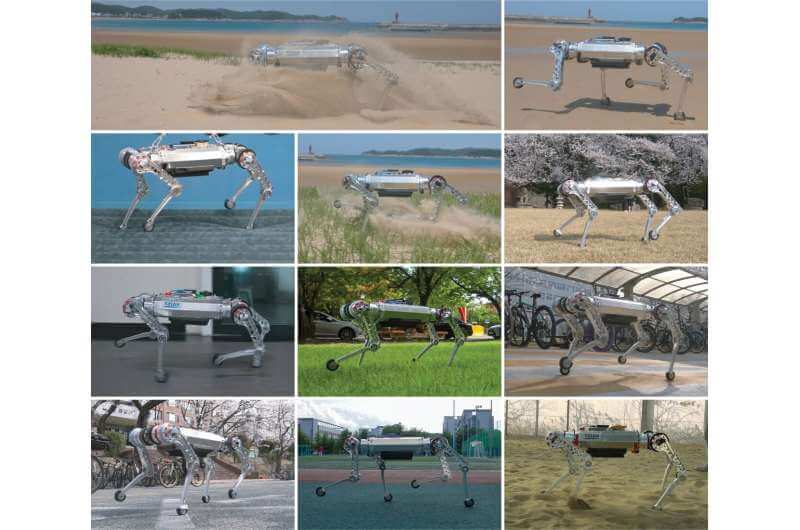 RaiBo: A Versatile Robo-Dog That Runs Through a Sandy Beach at 3 Meters Per Second
